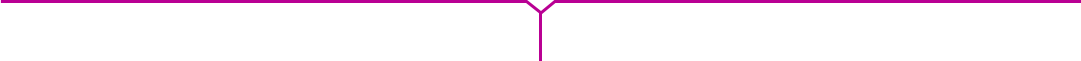 img-divider_1